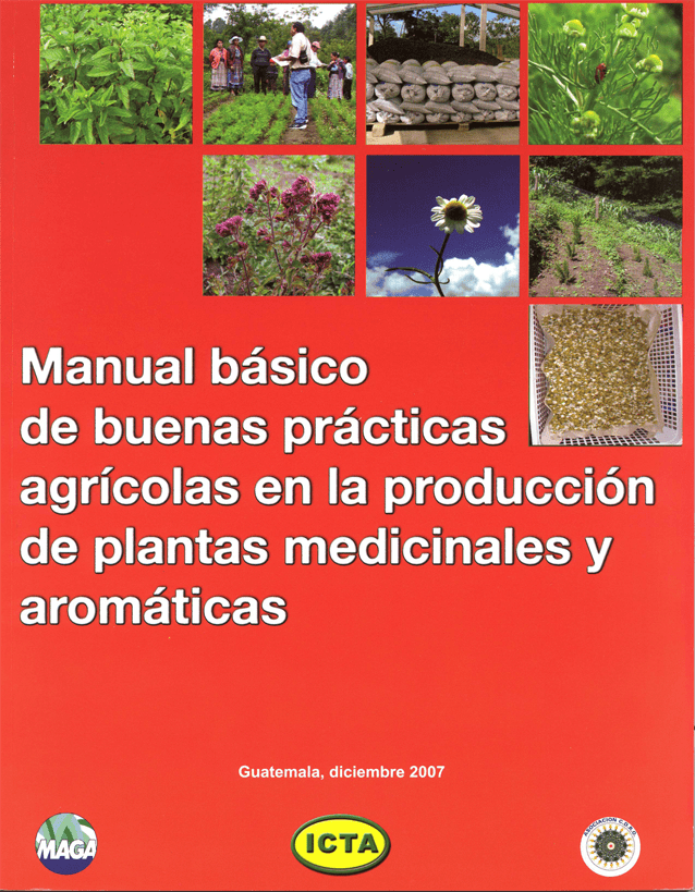 plantas medicionales